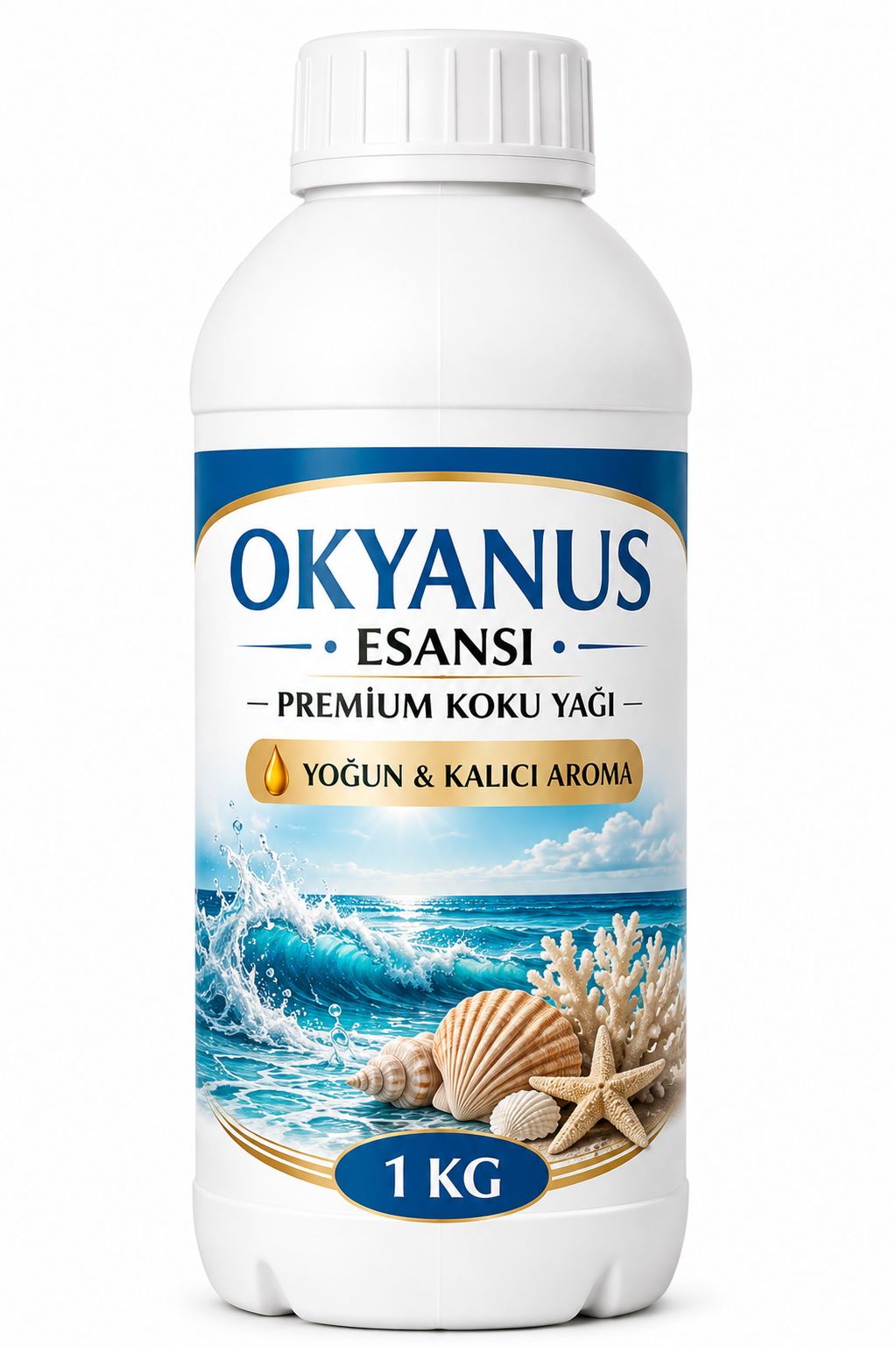 1 LT OKYANUS ESANS